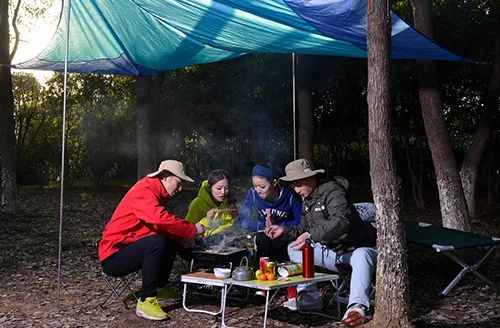人體工學藝術：休閒椅的舒適科學與設計細節